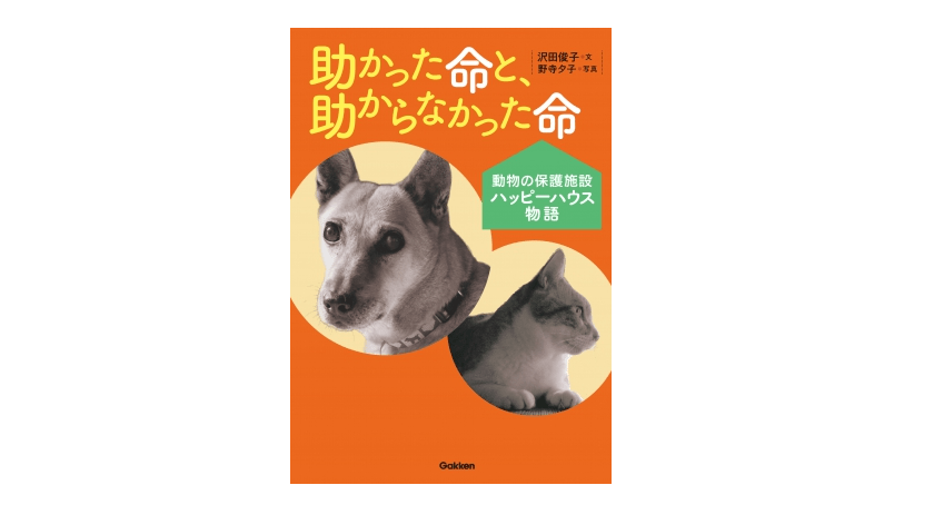 捨てられたり、被災した犬猫を一頭でも多く救いたい　━『助かった命と、助からなかった命　動物の保護施設ハッピーハウス物語』