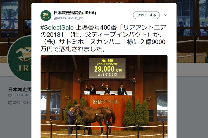 最高額は2億9000万円！ 2018年セレクトセールの高額落札馬トップ5はこれ