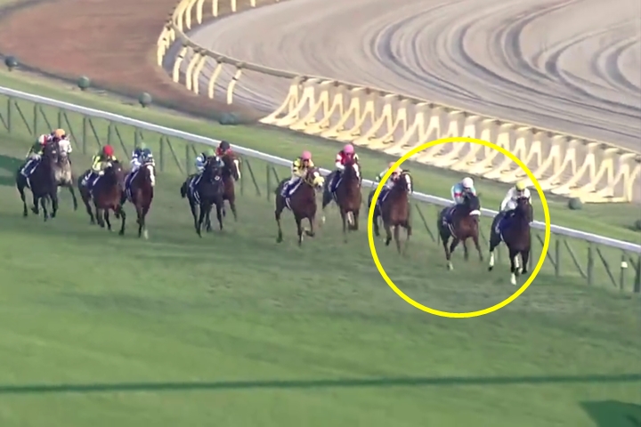 もう見た？ 競馬のジャパンカップで“牝馬三冠”アーモンドアイが圧勝！ タイムも凄い