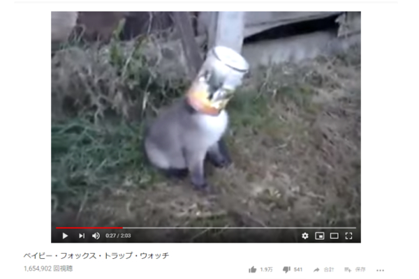 【可愛すぎる動物動画】缶から頭が抜けない… 助かったあとの赤ちゃんキツネが天使レベルの可愛さ！