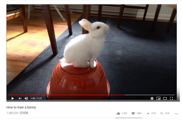 【可愛すぎる動物動画】実はやればできる子!? “ウサギは利口な動物”だと証明された瞬間