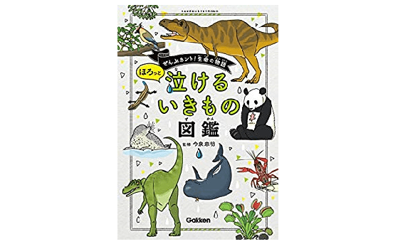 あなたはイカの上下を正しく理解していますか？――『ほろっと泣けるいきもの図鑑』