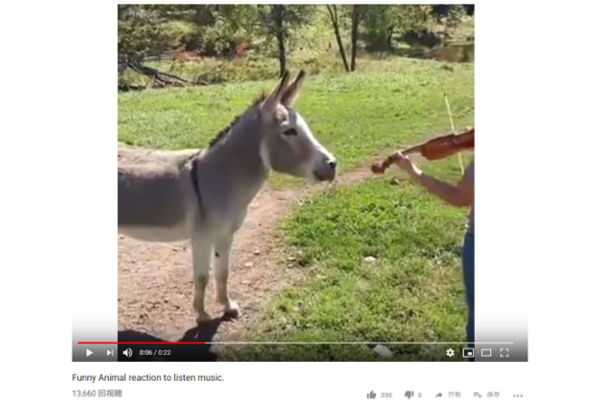 【可愛すぎる動物動画】まるで“リアル”ブレーメンの音楽隊!? 見事な歌声を披露するロバに絶賛の声