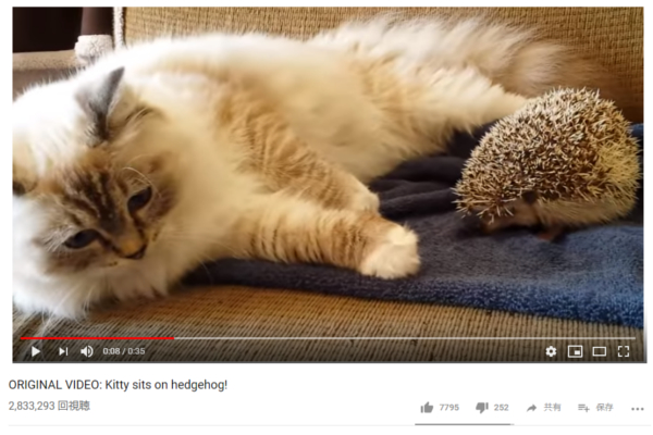 【可愛すぎる動物動画】こいつは何者ニャ… 猫の身に襲いかかった思わぬ悲劇とは