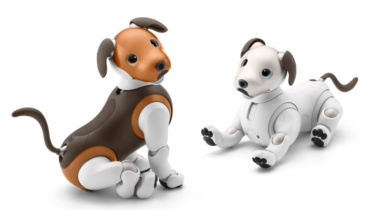 今度の「aibo（アイボ）」はちょっとやんちゃな感じがグッとくる