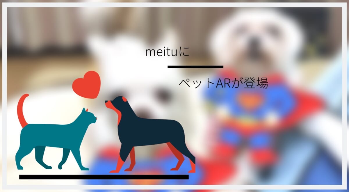 ペットも顔認証してかわいく盛れちゃうアプリ「Meitu」で【ペットAR】を遊ぼう！