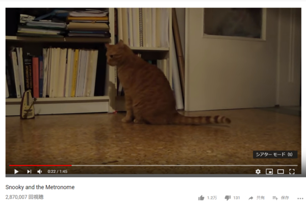 【可愛すぎる動物動画】メトロノームの音を止めたいのに… まるでビートを刻むような猫のビビりっぷりに注目！