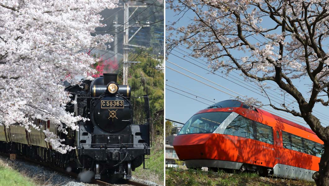 【2019年版】全国津々浦々を巡った鉄道ライターが薦める「桜と鉄道」撮影スポット集（前編）
