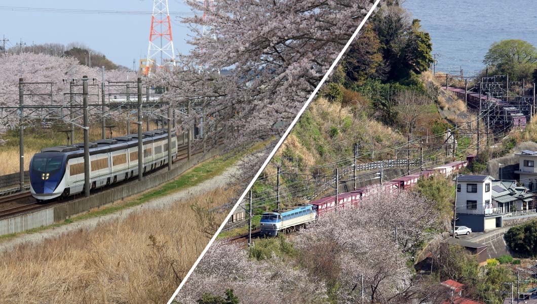 【2019年版】全国津々浦々を巡った鉄道ライターが薦める「桜と鉄道」撮影スポット集（後編）