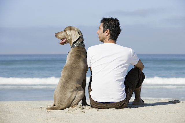 「犬は飼い主に似る」は本当だった! 心理学者が発見した「ヒトと犬の性格の相関関係」
