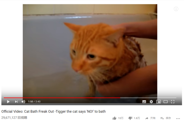 【必見オモシロ動画】お風呂が嫌い過ぎて「Nooo！ Nooo！」と叫び続ける人間臭い猫