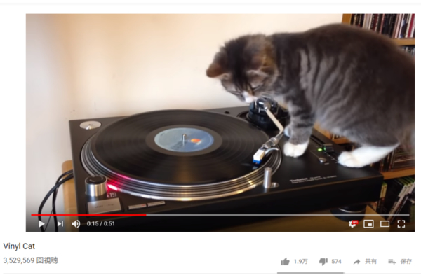 【必見オモシロ動画】見事なターンテーブルさばきで魅了する“DJキャット”君臨