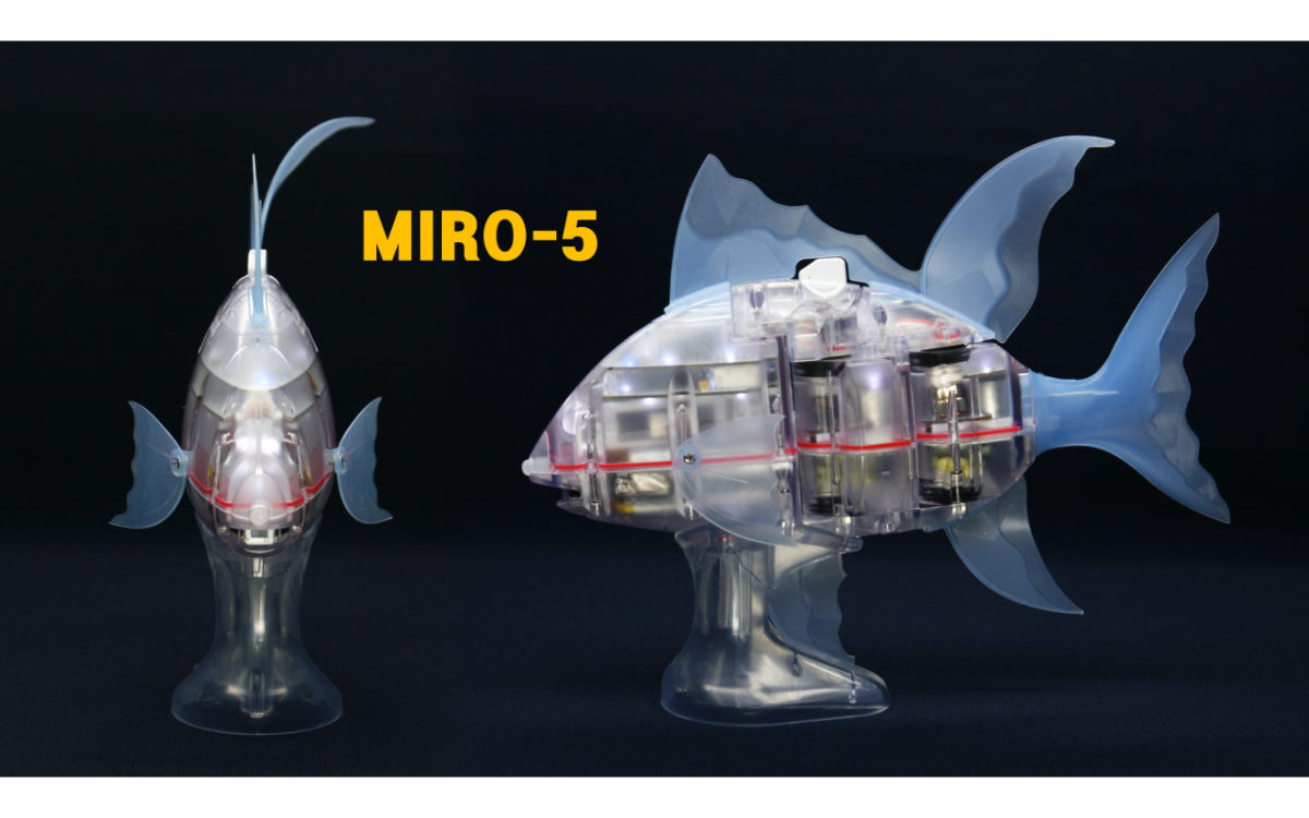 ギミックにこだわり抜いた＋Styleのリアルな魚ロボ「MIRO-5」