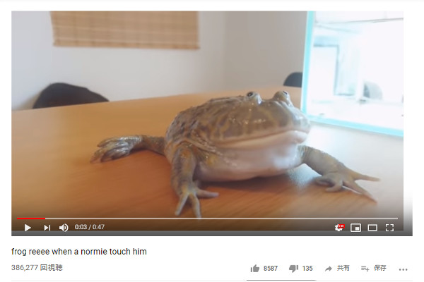 【必見オモシロ動画】「オギャーー」を連発!? 赤ちゃんのように鳴きわめくカエル