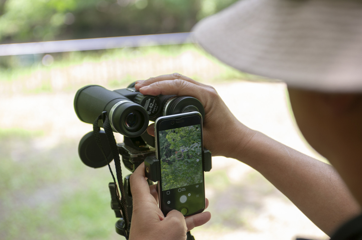 ↑スマホの画面を見ながら静止画や動画の撮影ができる。画面が大きくシャッターシャンズを狙いやすい