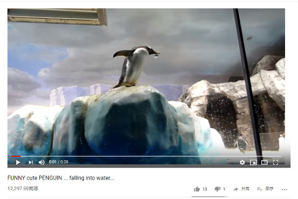 【必見オモシロ動画】あっ、危ない！ ドジっ子ペンギンに待ち受ける悲劇…