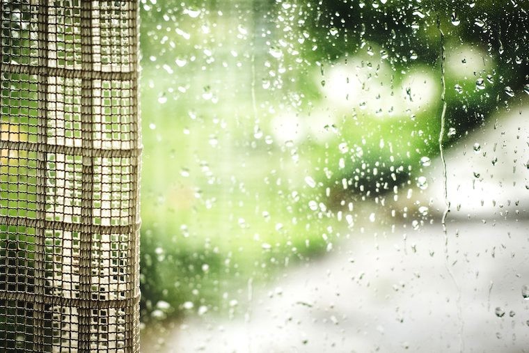 カビは家中に潜んでいる！梅雨に行いたい「カビ対策」