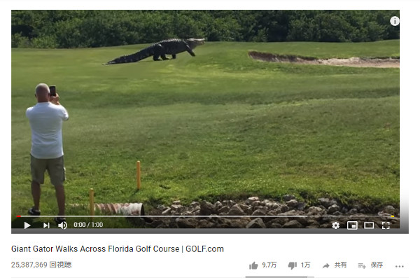 【必見オモシロ動画】もはや恐竜!? フロリダ州に住まう巨大ワニ