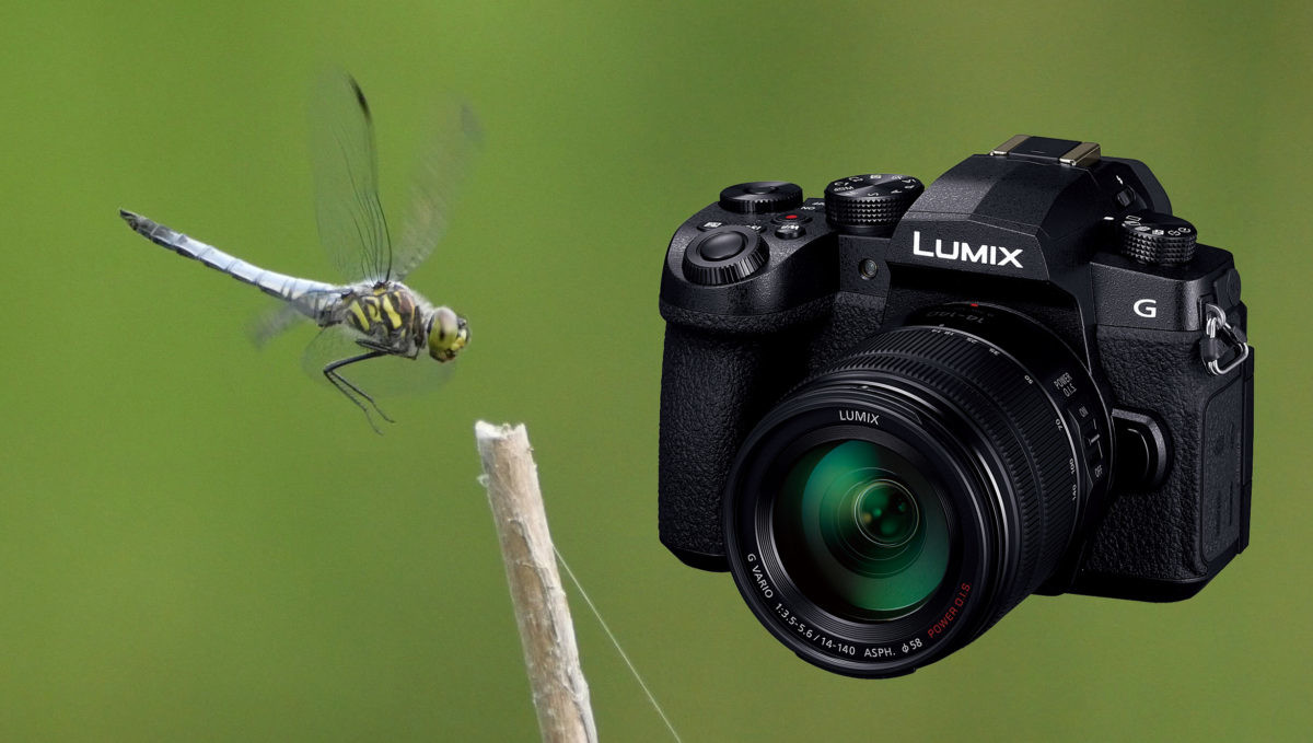 やっぱり“軽くて使いやすい”は正義! パナソニック「LUMIX G99」レビューでマイクロフォーサーズ機の利点を再確認
