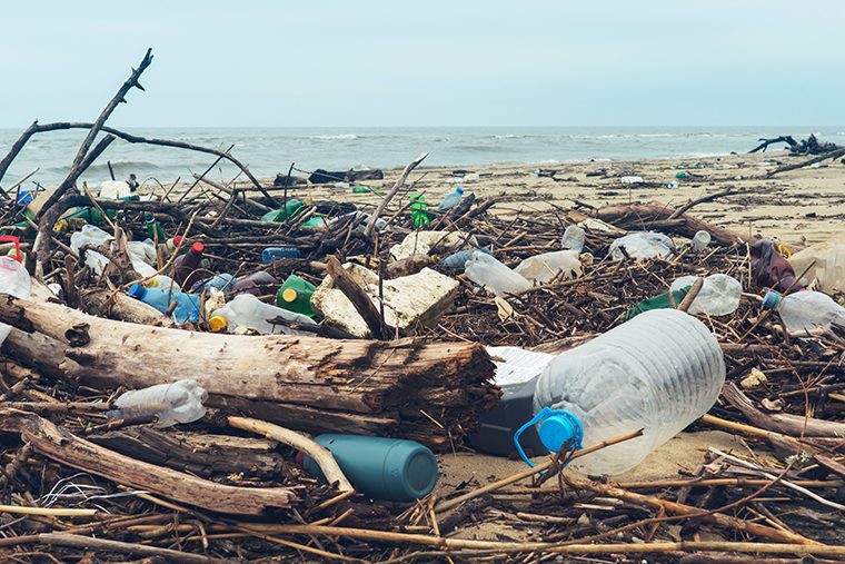 世界の海で異常事態！今こそ知りたい「マイクロプラスチック」とは？