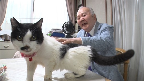ひふみん流“猫と仲良くするための心得”とは？『ひふみんのニャンぶらり』5日連続放送