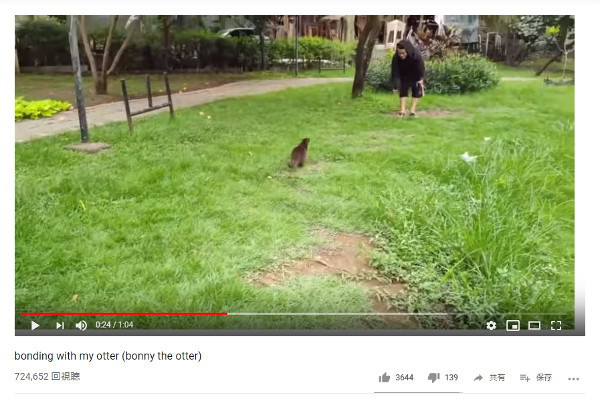 【必見オモシロ動画】もっと一緒に遊びたい！ お転婆カワウソちゃんとご主人様の公園デート