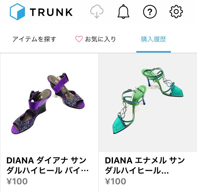 trunk_5
