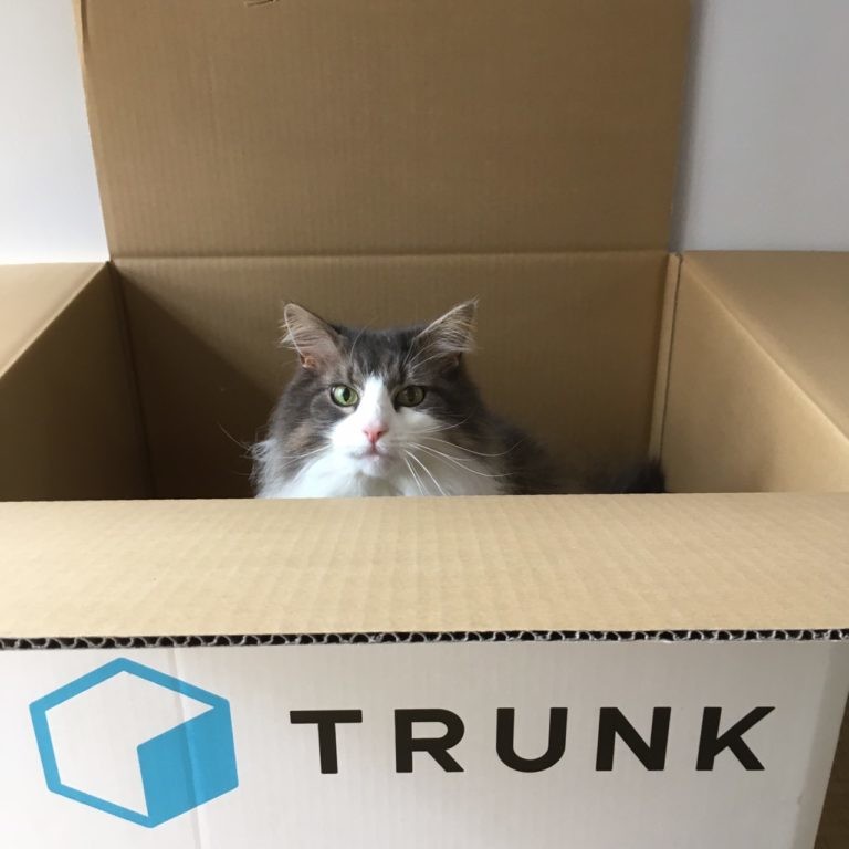 宅配型収納サービス「TRUNK（トランク）」で収納スペースを節約しよう