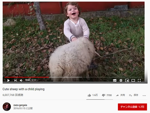 【必見オモシロ動画】こんなにフレンドリーなの!? ハイテンションで男の子と遊ぶヒツジ