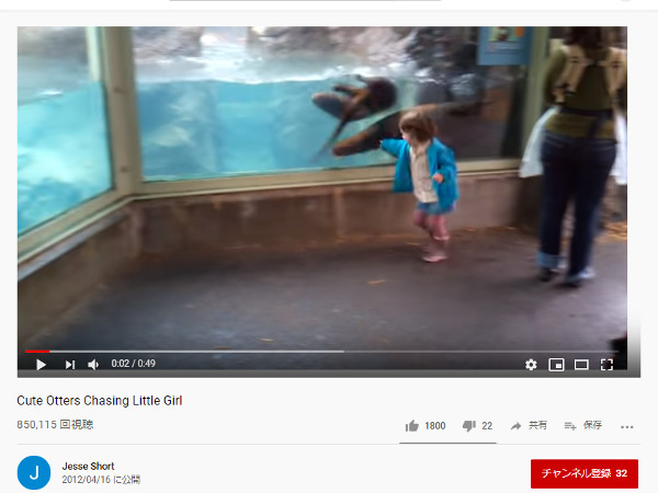 【必見オモシロ動画】心が通じ合っている!? 水族館で遊ぶ女の子とカワウソ
