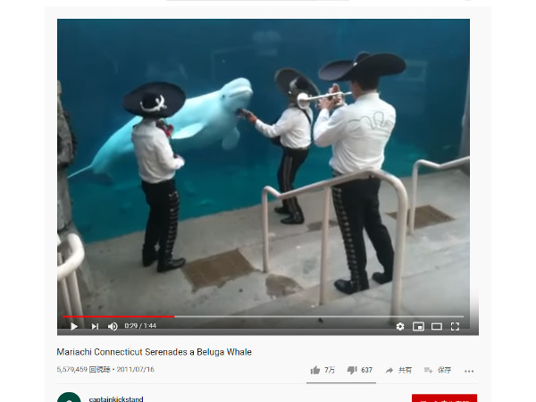 【必見オモシロ動画】やっぱり音楽ってすごい… 音楽を聴いて楽しそうにするイルカ