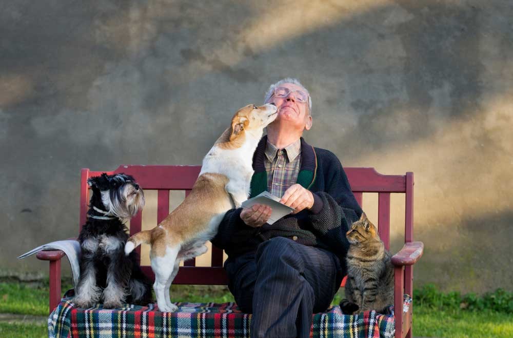 死亡リスクが30％以上も低下! 「犬」を飼うと病気に強くなることが判明