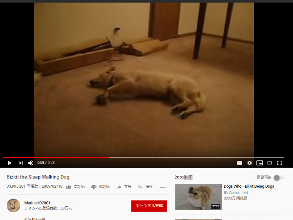 【必見オモシロ動画】いったいどんな夢を見ていたの…？ 寝相の悪い犬に訪れた悲劇