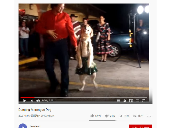 【必見オモシロ動画】軽快なダンスで思わず笑顔に!? 男性と踊るワンちゃん