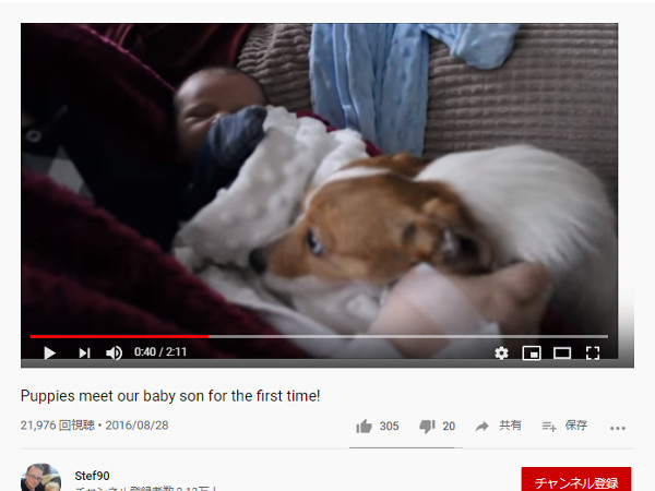【必見オモシロ動画】かわいすぎてオロオロ!? 赤ちゃんに大興奮の犬