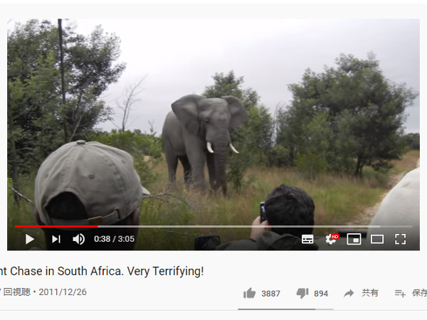 【必見オモシロ動画】こんなサファリはイヤだ！ ゾウとのカーチェイスに恐怖する観光客