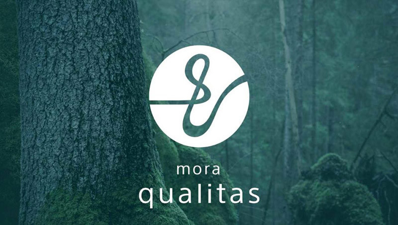 ついに始まったハイレゾ定額配信「mora qualitas」――サービスインから約2か月の「良いトコロ」「悪いトコロ」