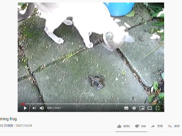 【必見オモシロ動画】世にも奇妙な鳴き声… 猫につつかれて絶叫するカエルさん