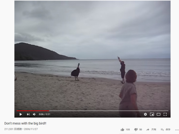 【必見オモシロ動画】“世界一危険な鳥”ヒクイドリが観光客を強襲!?