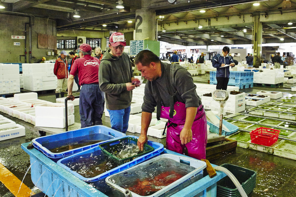 ↑ヒラメ漁師の伊予田 工さんと。撮影/寺澤太郎(『スゴイ魚料理』より)