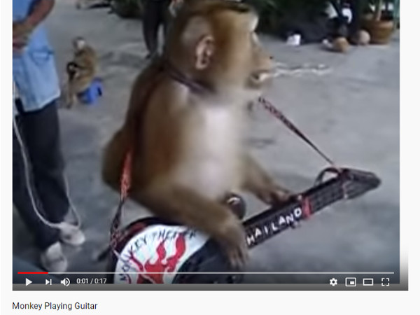 中に人間が入ってるの? 毎日色々「動物動画」を漁る編集部が選んだ良ムービー5選