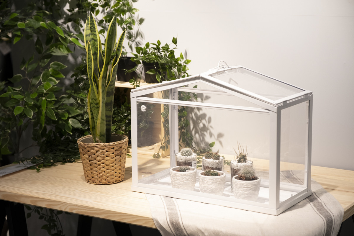 イケアの「観葉植物」は超穴場ジャンルだった!  ズボラで始める「緑のある生活入門」