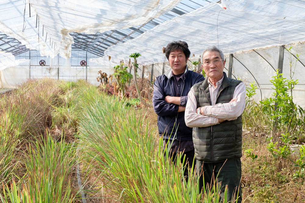 日本のハーブ第一人者が75歳で叶える夢――「自分たちの野菜でインドネシア、そして世界中の人に健康になってほしい」