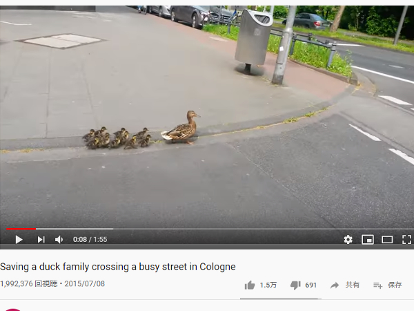 人間と触れ合う動物がいとおしい… 心がホッコリする動物動画5選