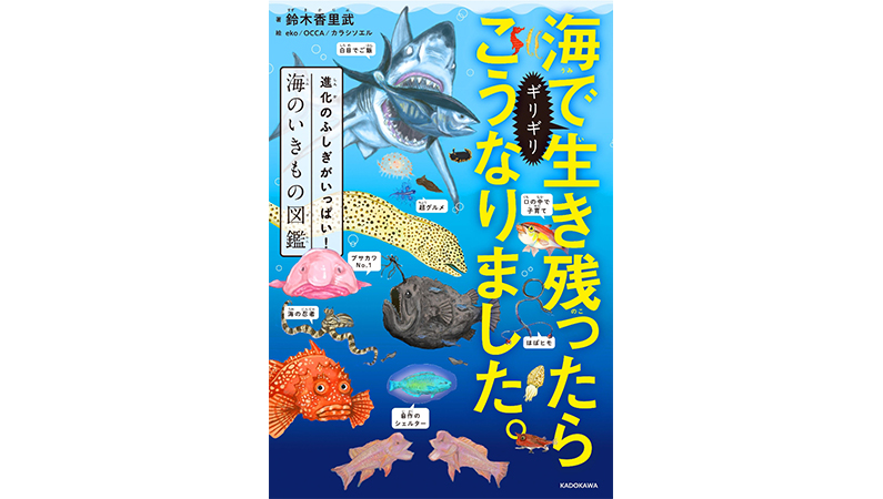 「サザエ」は100年以上学名がなかった!? 白い砂浜は○○のうんこできてる!?