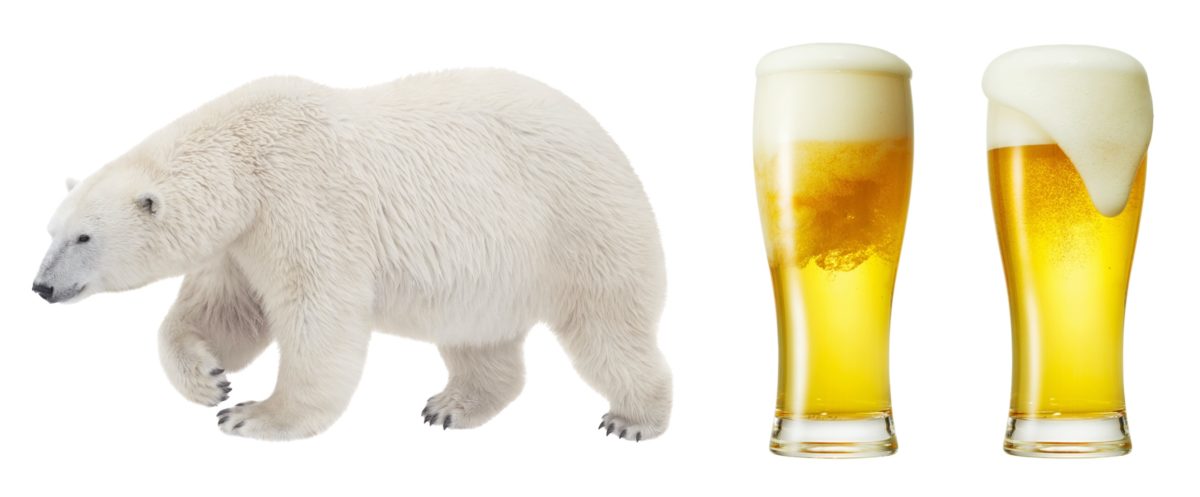 ↑乱反射によるユポ紙の白色度が上がるのは、ホッキョクグマの毛やビールの泡が白く見える原理と同じ。黒い皮膚と透明の毛を持つホッキョクグマは、太陽光と反射光が毛内部の空洞を乱反射することで毛自体が白く見えています
