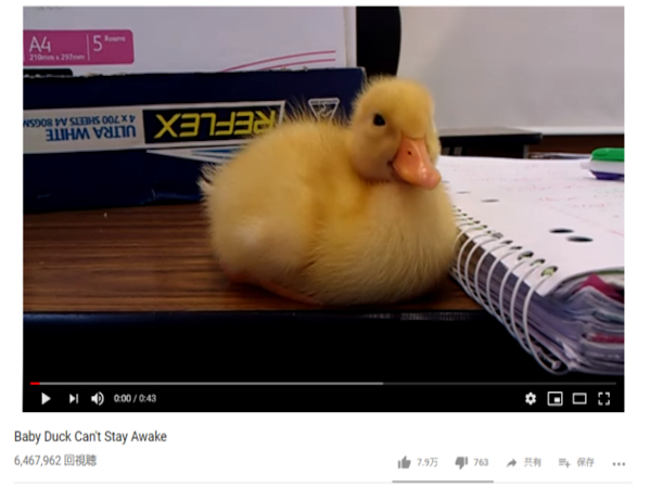 無条件で可愛いベイビーたちを集めました！ 癒し力MAXの赤ちゃん動物動画5選
