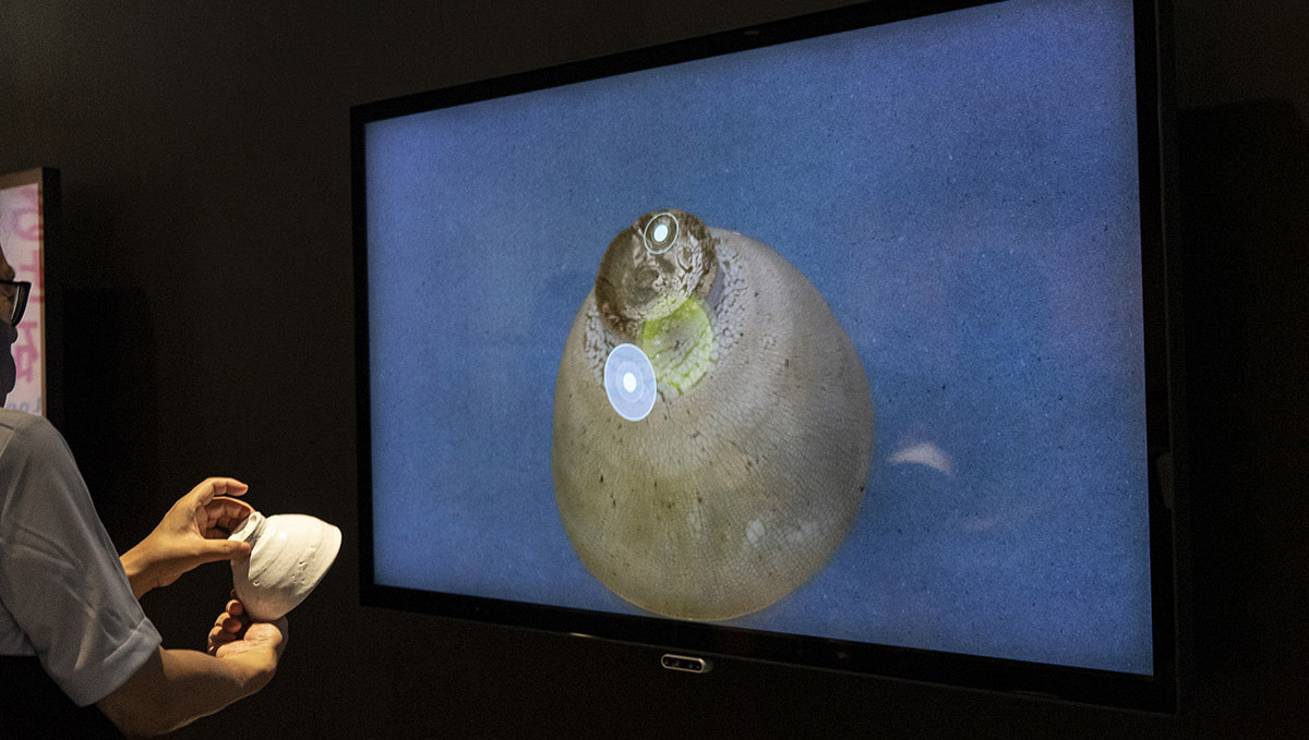 これが未来の美術館の姿か!? 8K×バーチャルを組み合わせた体験プログラムが東京国立博物館で開催