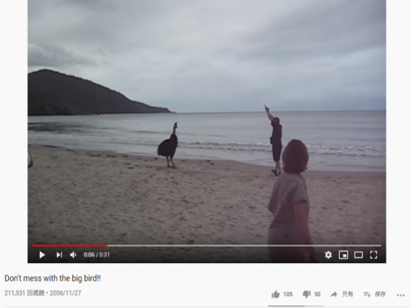 巨大ワニのド迫力に驚愕！ 動物たちの“攻撃”を捉えた動画セレクション