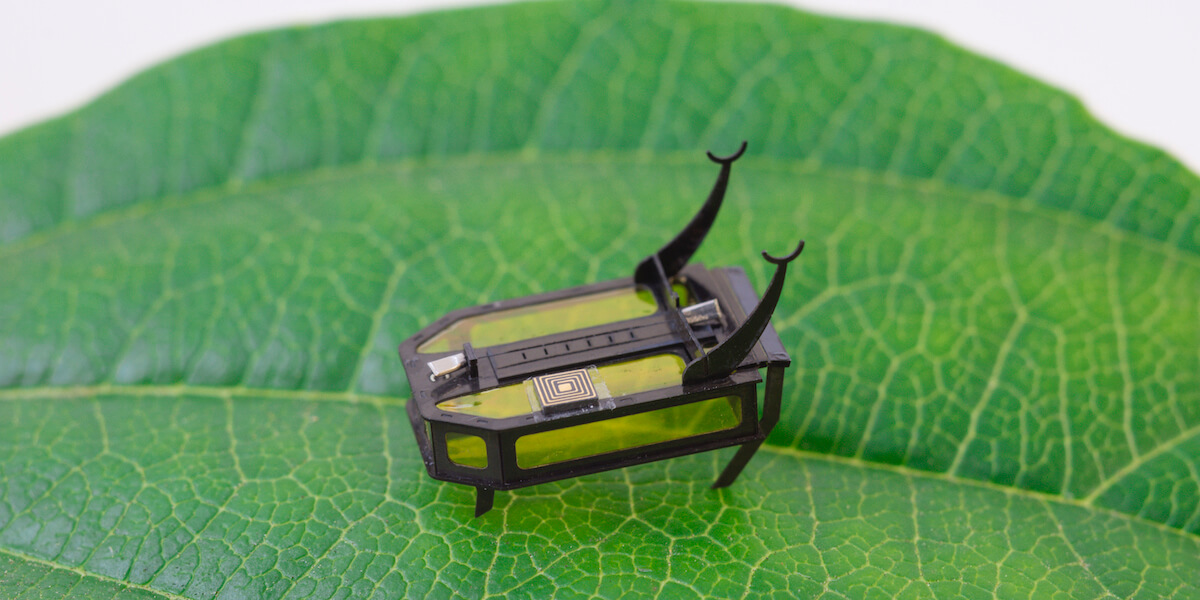 バッテリー要らずの「15mmのカブトムシ型ロボット」がハーバードを超える出来栄え